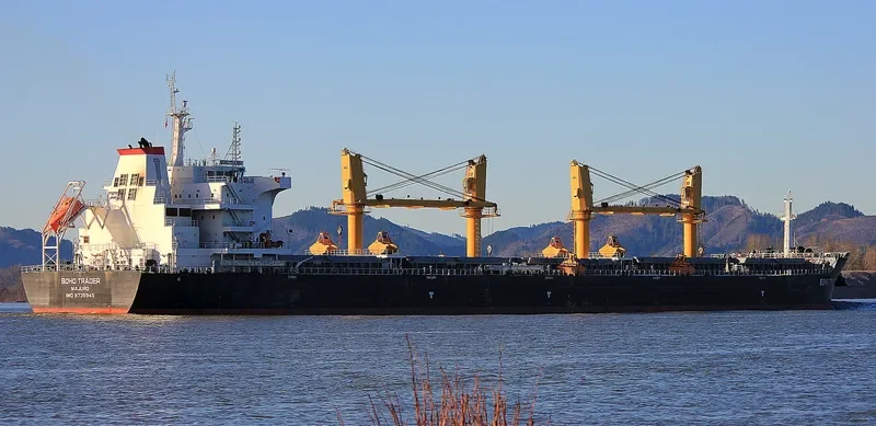 SOHO TRADER Bulk Carrier IMO 9735945 photo 2