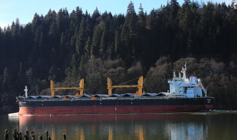 SOHO TRADER Bulk Carrier IMO 9735945 photo 4