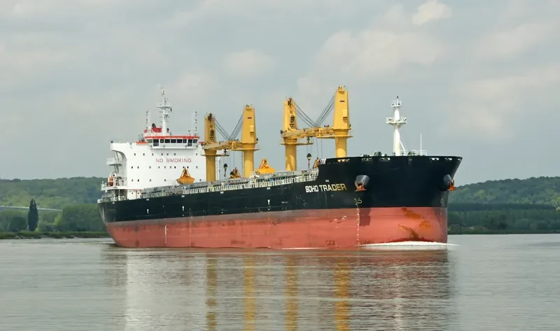 SOHO TRADER Bulk Carrier IMO 9735945 photo 5
