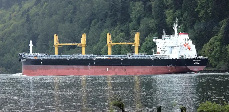 SOHO TRADER Bulk Carrier IMO 9735945 photo 7