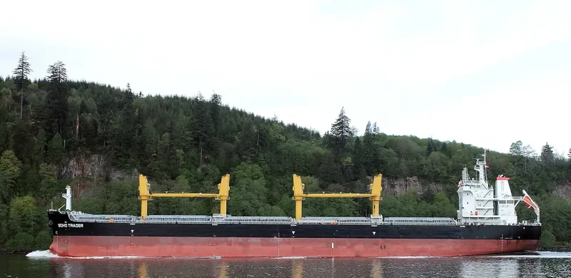 SOHO TRADER Bulk Carrier IMO 9735945 photo 8