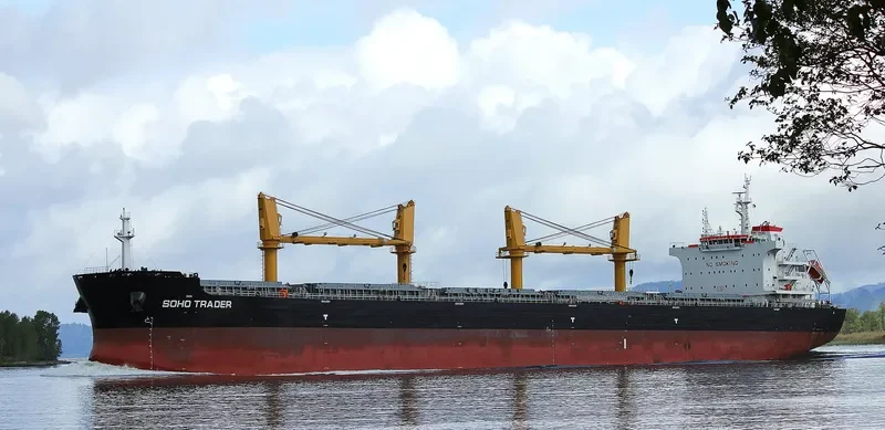SOHO TRADER Bulk Carrier IMO 9735945 photo 9