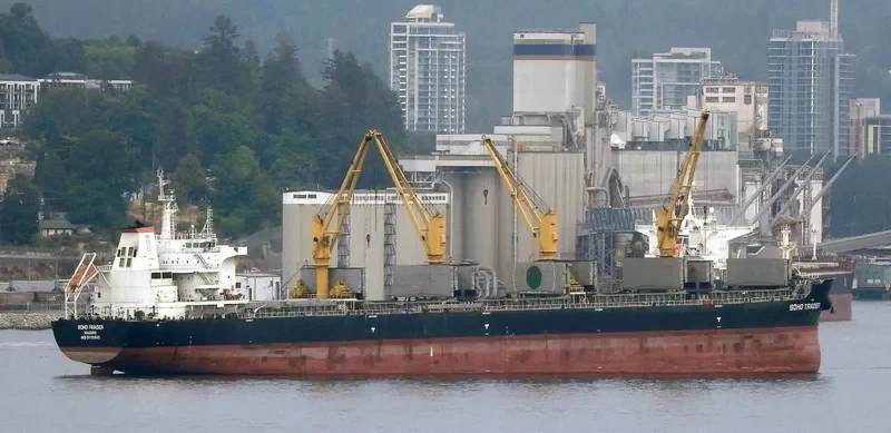 SOHO TRADER Bulk Carrier IMO 9735945 photo 10