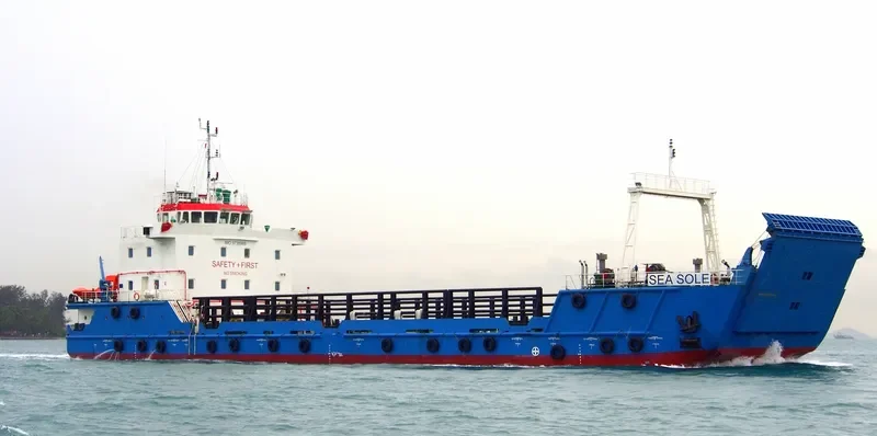 OCEAN GLORY Passenger Ship IMO 9735969