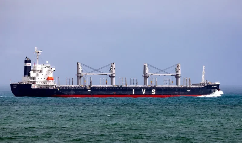 IVS SUNBIRD Bulk Carrier IMO 9736042