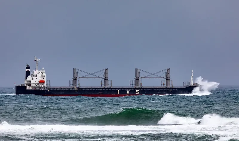 IVS SUNBIRD Bulk Carrier IMO 9736042 photo 2