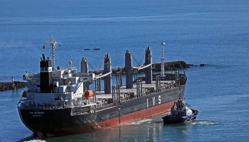 IVS SUNBIRD Bulk Carrier IMO 9736042 photo 3