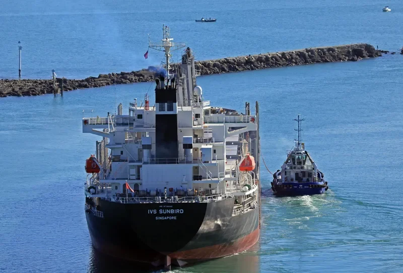 IVS SUNBIRD Bulk Carrier IMO 9736042 photo 4