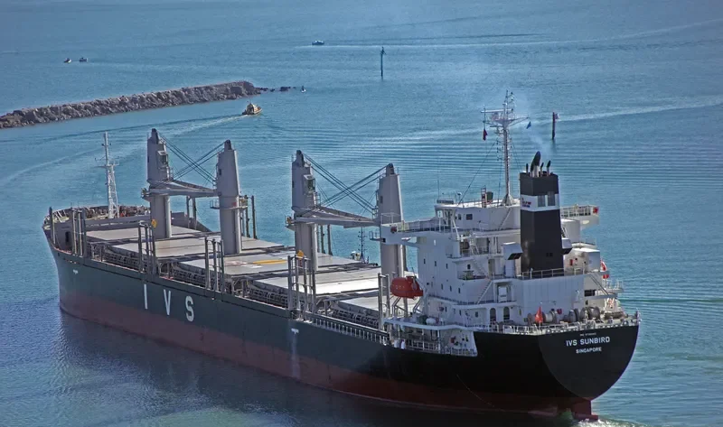 IVS SUNBIRD Bulk Carrier IMO 9736042 photo 5