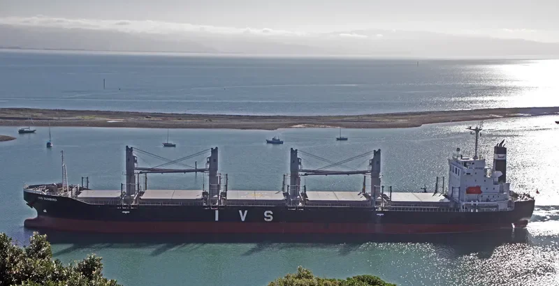IVS SUNBIRD Bulk Carrier IMO 9736042 photo 6