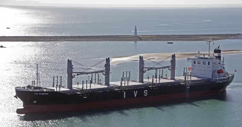 IVS SUNBIRD Bulk Carrier IMO 9736042 photo 7