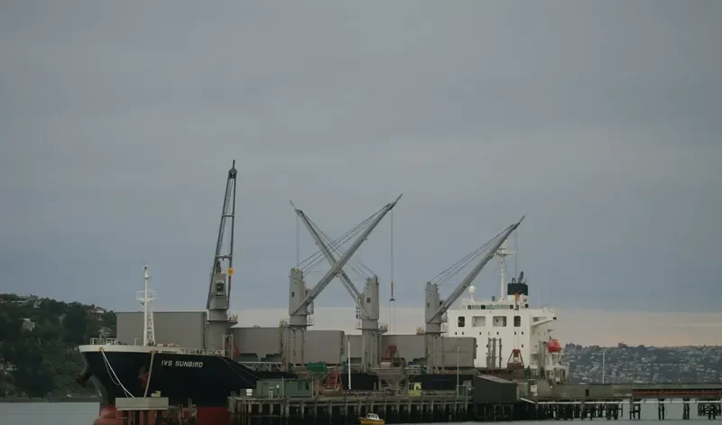IVS SUNBIRD Bulk Carrier IMO 9736042 photo 8