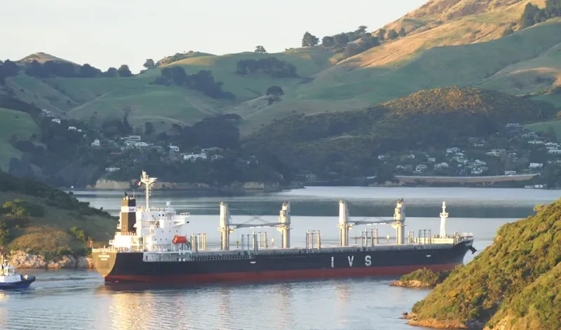 IVS SUNBIRD Bulk Carrier IMO 9736042 photo 10