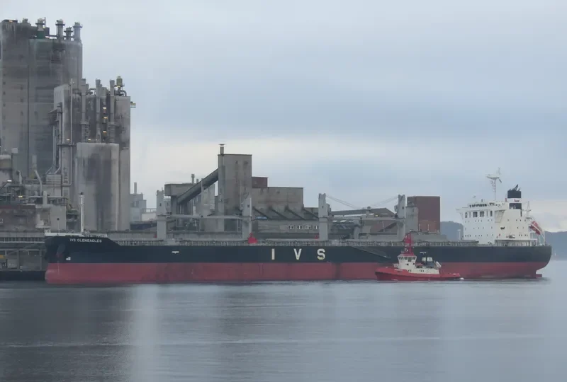 IVS GLENEAGLES Bulk Carrier IMO 9736066