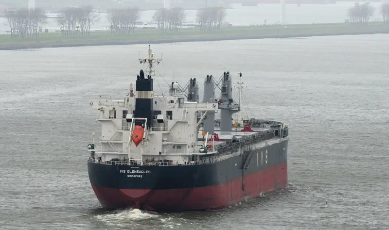 IVS GLENEAGLES Bulk Carrier IMO 9736066 photo 3