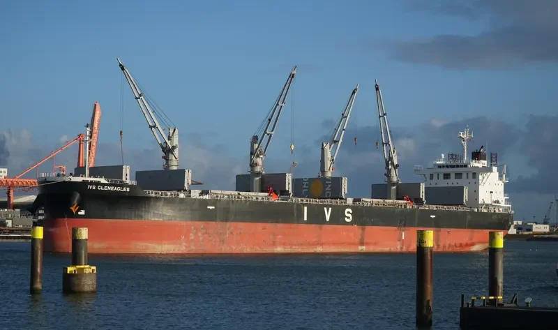IVS GLENEAGLES Bulk Carrier IMO 9736066 photo 4