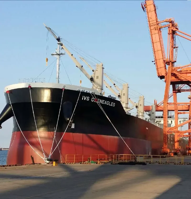IVS GLENEAGLES Bulk Carrier IMO 9736066 photo 6