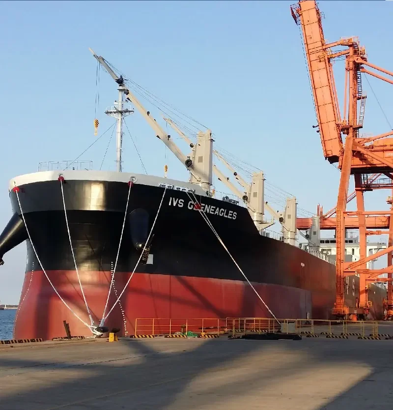 IVS GLENEAGLES Bulk Carrier IMO 9736066 photo 7