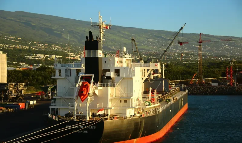 IVS GLENEAGLES Bulk Carrier IMO 9736066 photo 9
