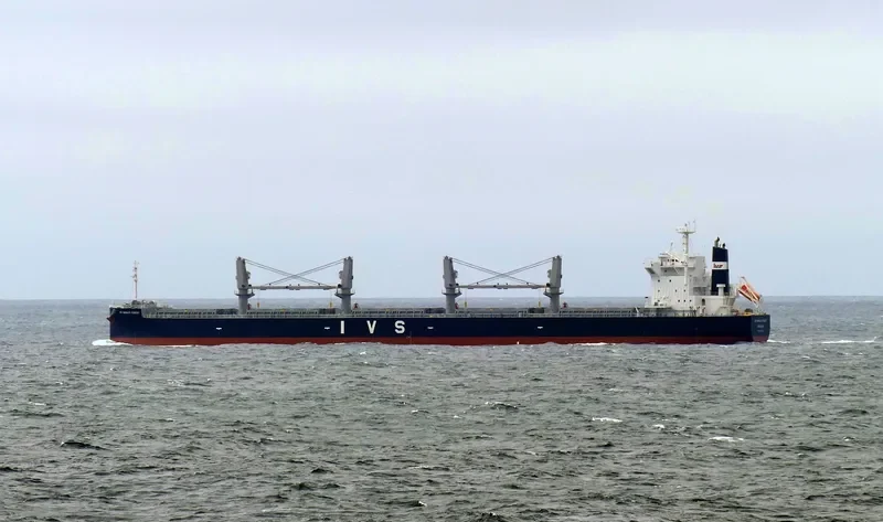 IVS SWINLEY FOREST Bulk Carrier IMO 9736080 photo 4