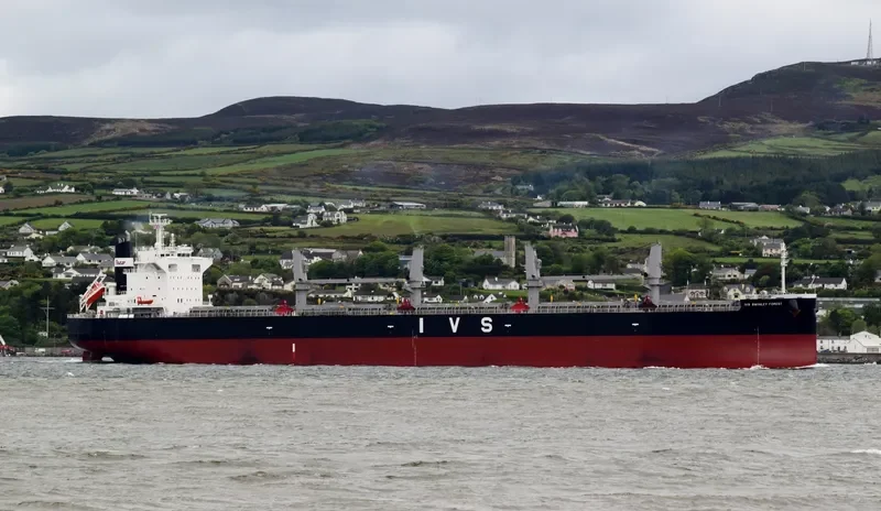 IVS SWINLEY FOREST Bulk Carrier IMO 9736080 photo 6