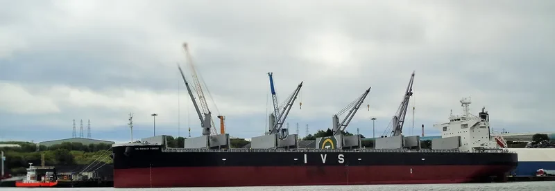 IVS SWINLEY FOREST Bulk Carrier IMO 9736080 photo 7