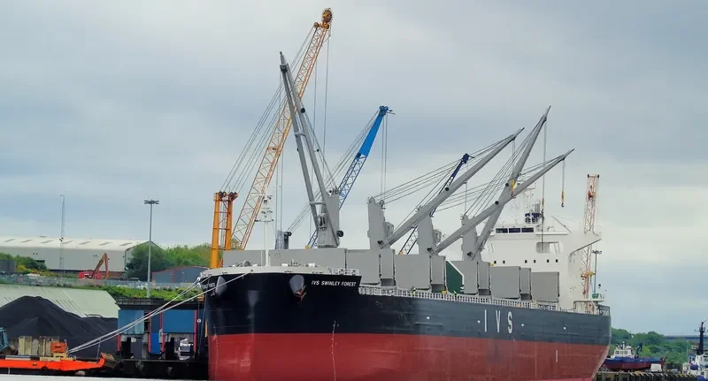 IVS SWINLEY FOREST Bulk Carrier IMO 9736080 photo 8