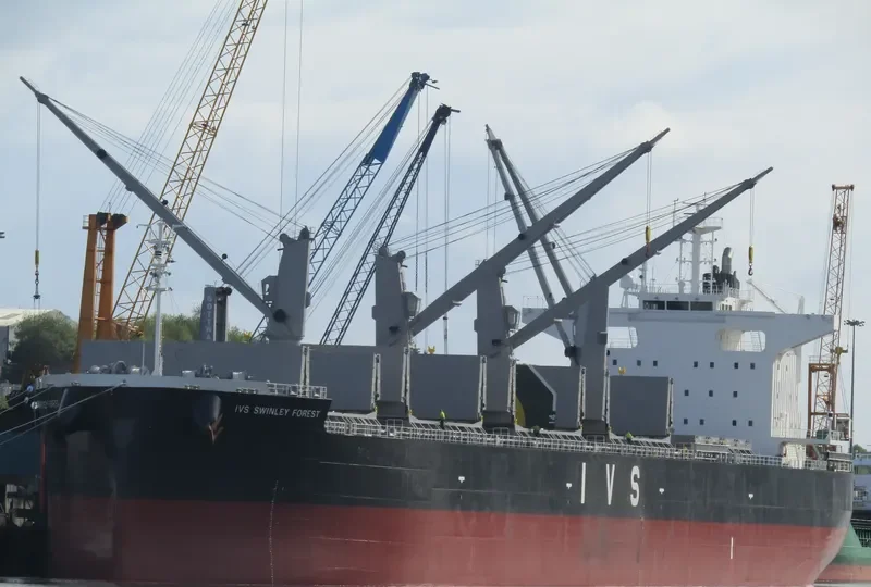 IVS SWINLEY FOREST Bulk Carrier IMO 9736080 photo 9