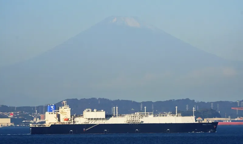 ENERGY LIBERTY General Cargo IMO 9736092 photo 5