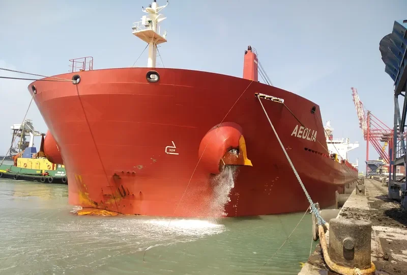 AEOLIA Bulk Carrier IMO 9736157 photo 3