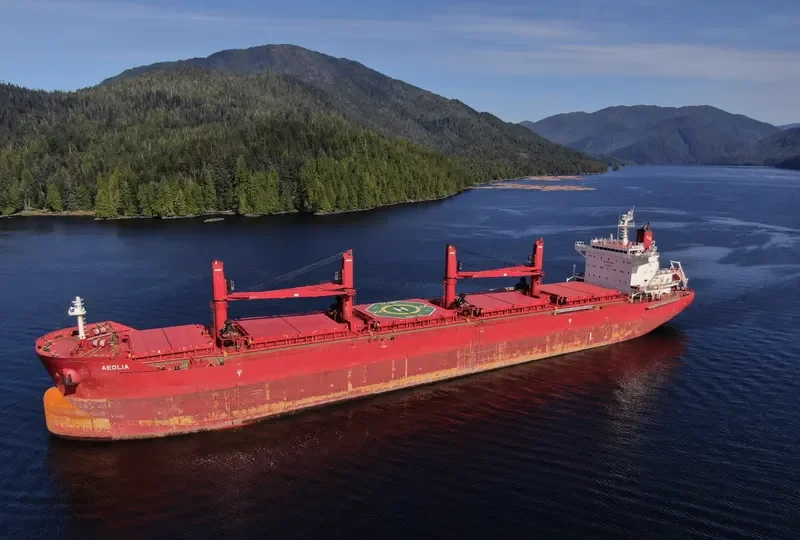 AEOLIA Bulk Carrier IMO 9736157 photo 4