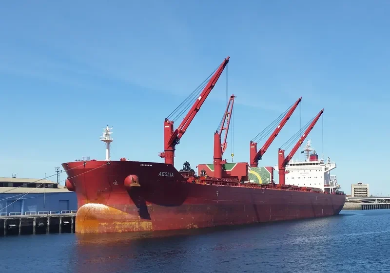 AEOLIA Bulk Carrier IMO 9736157 photo 5