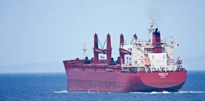 AEOLIA Bulk Carrier IMO 9736157 photo 9