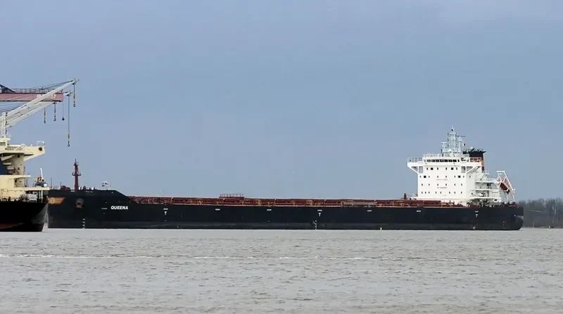 QUEENA Bulk Carrier IMO 9736286 photo 2