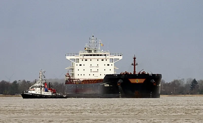 QUEENA Bulk Carrier IMO 9736286 photo 4