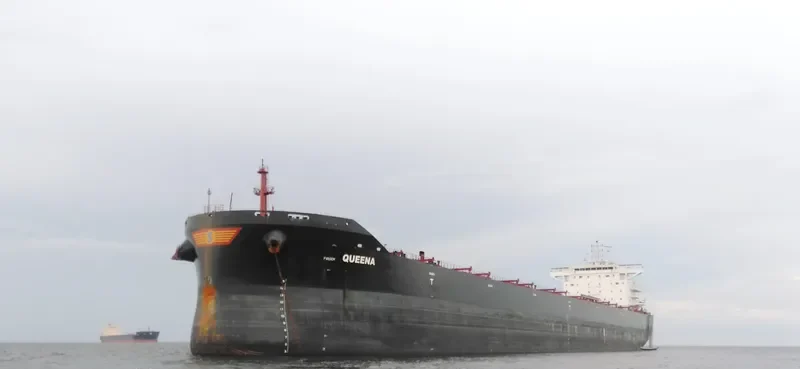 QUEENA Bulk Carrier IMO 9736286 photo 5