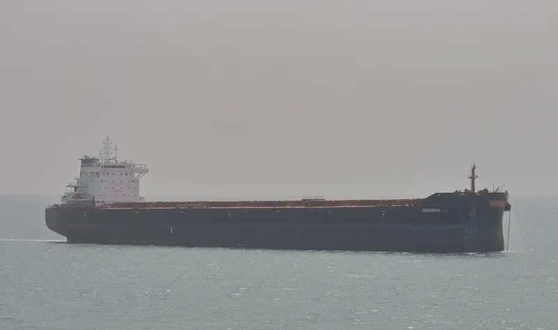 QUEENA Bulk Carrier IMO 9736286 photo 6