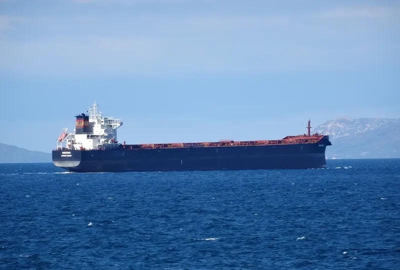 QUEENA Bulk Carrier IMO 9736286 photo 7