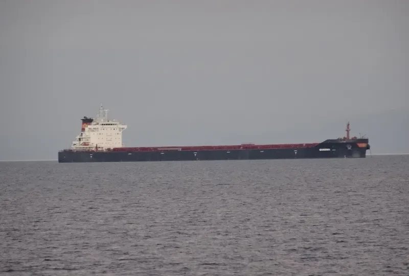 QUEENA Bulk Carrier IMO 9736286 photo 8