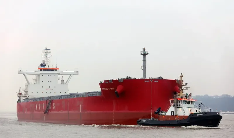 NAVIOS AMBER Bulk Carrier IMO 9736341 photo 2