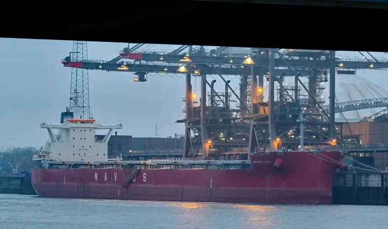 NAVIOS AMBER Bulk Carrier IMO 9736341 photo 5