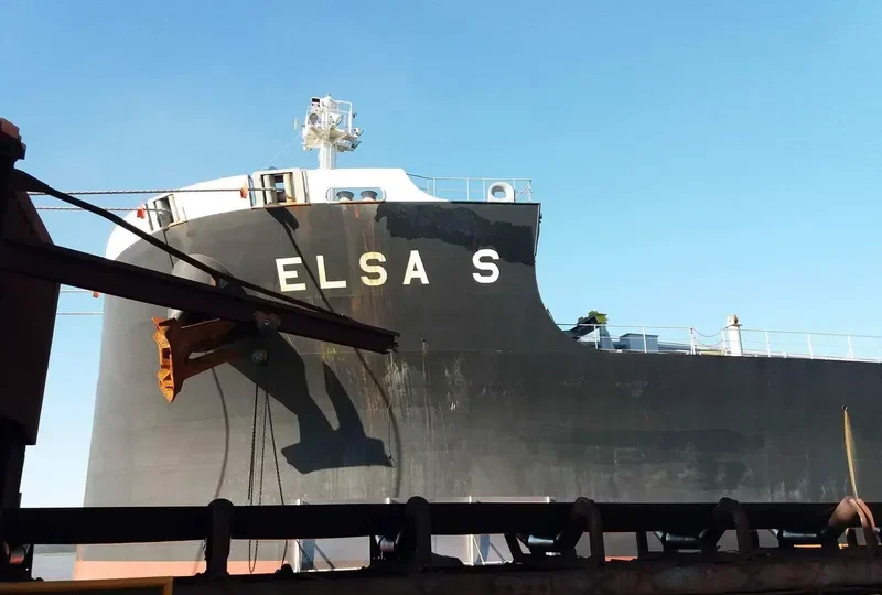 ELSA S Bulk Carrier IMO 9736353