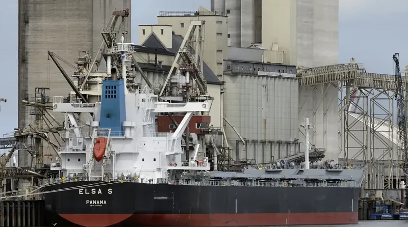 ELSA S Bulk Carrier IMO 9736353 photo 2