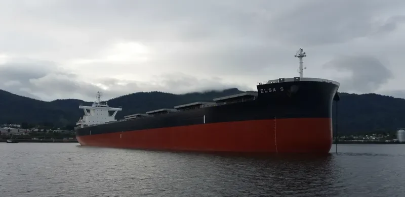 ELSA S Bulk Carrier IMO 9736353 photo 3
