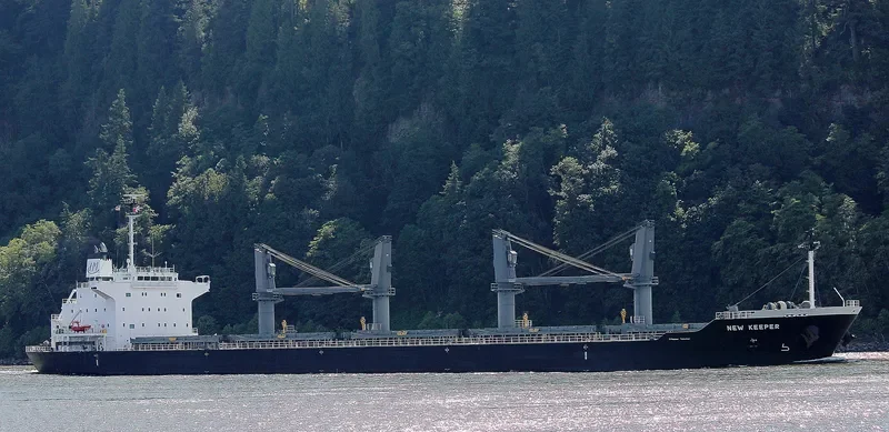 NEW KEEPER Bulk Carrier IMO 9736391