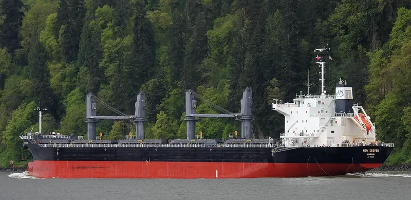 NEW KEEPER Bulk Carrier IMO 9736391 photo 2