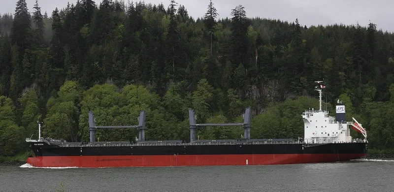 NEW KEEPER Bulk Carrier IMO 9736391 photo 3