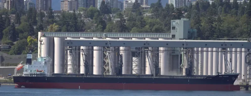NEW KEEPER Bulk Carrier IMO 9736391 photo 6