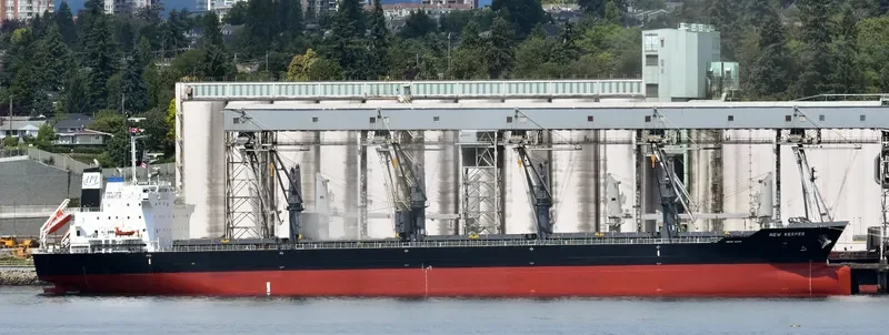 NEW KEEPER Bulk Carrier IMO 9736391 photo 8