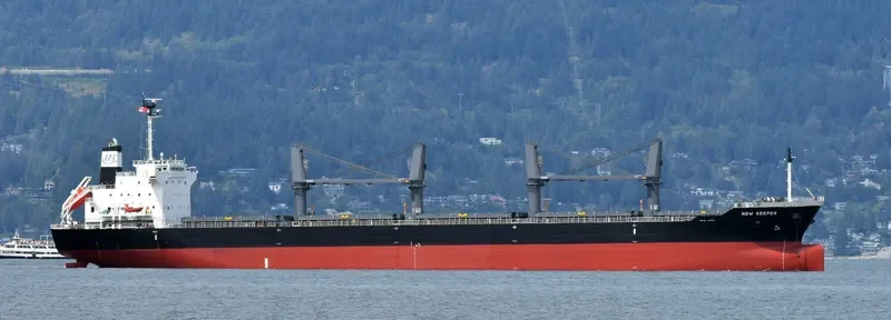 NEW KEEPER Bulk Carrier IMO 9736391 photo 9